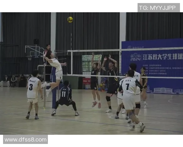 北京排球队逆袭之路揭秘精英赛背后的奋斗与荣耀 北京排球队逆袭之路揭秘精英赛背后的奋斗与荣耀